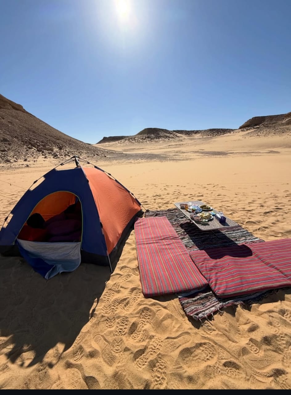 White Desert Magic
